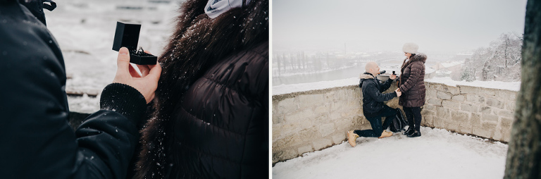 Winter surprise proposal