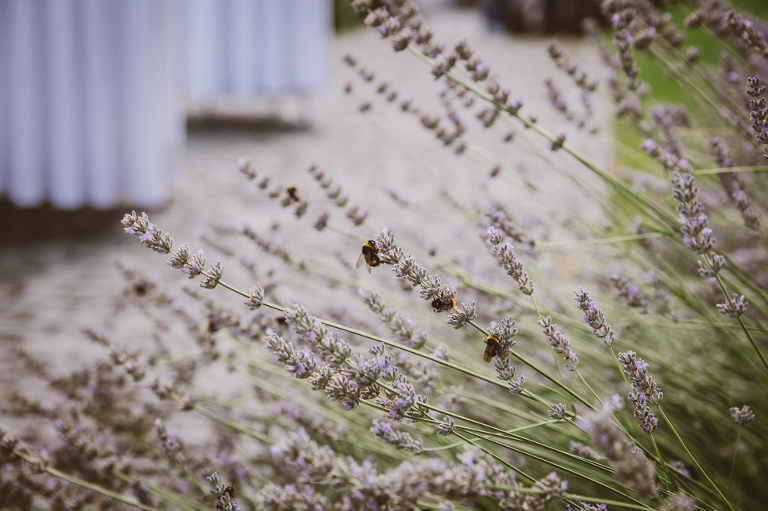 Villa richter wedding