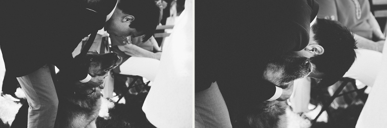 Best wedding photography 2016