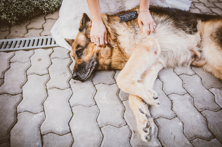 Best wedding photography 2016