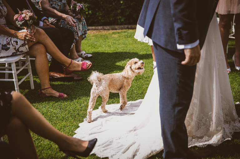 Best wedding photography 2016